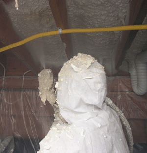 Mesa AZ crawl space insulation